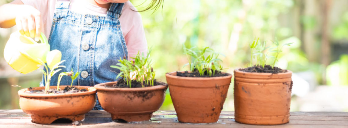 植物に水をやる子供